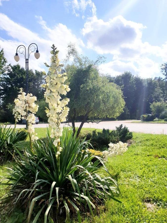 Willa Park Ostrowiec Swietokrzyski Bagian luar foto