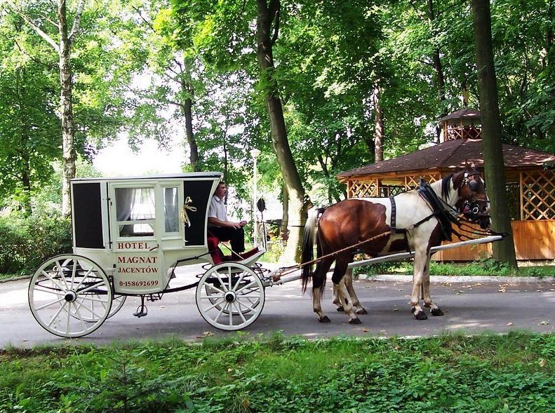 Willa Park Ostrowiec Swietokrzyski Bagian luar foto